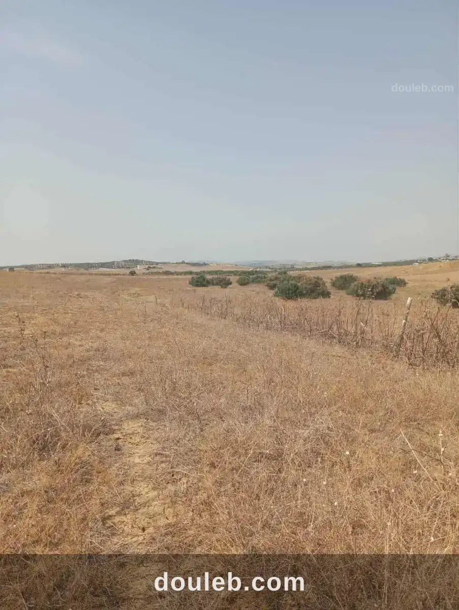 Av 7 hectares zaghouan direction hammamet à Tunis