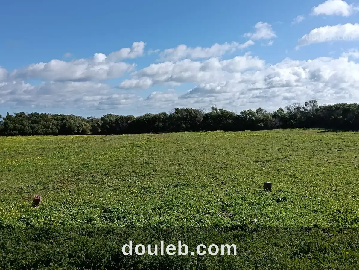 Terrain vue de mer à Tunis