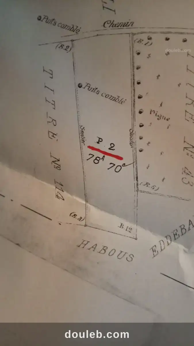 Terrain de promotion à Tunis