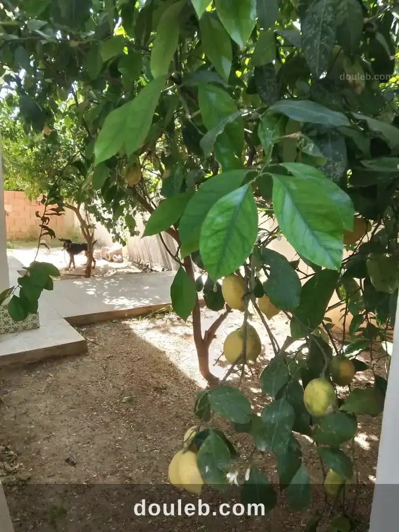 Maison au mourouj 2 à Tunis