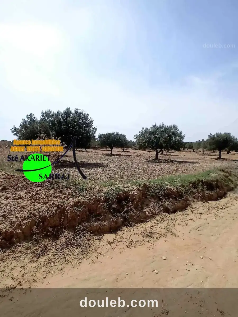 Offre à ne pas rater terrain 2300m à fokaia à Tunis