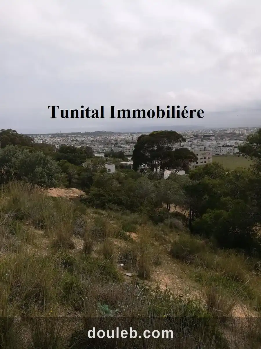 Terrain vue panoramique à Tunis