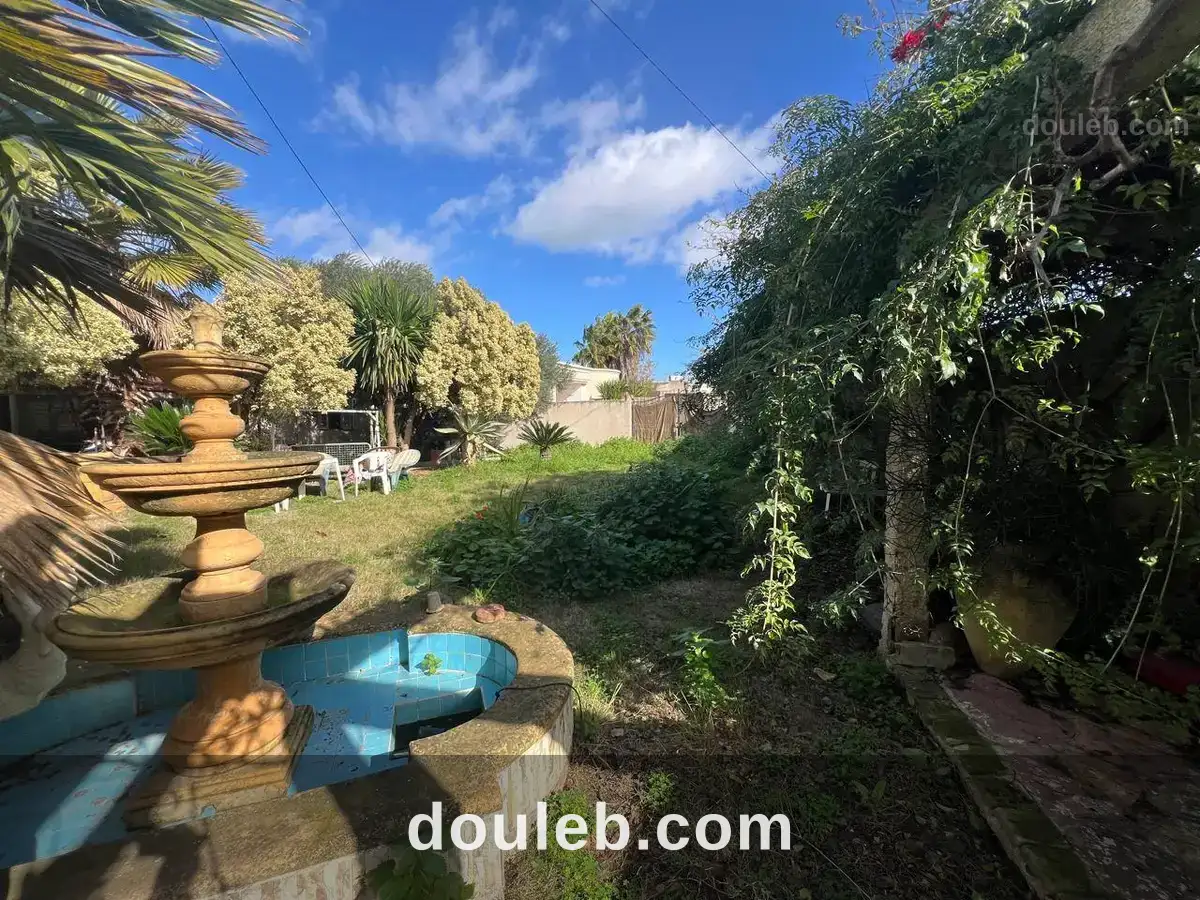 À sidi younes à Tunis