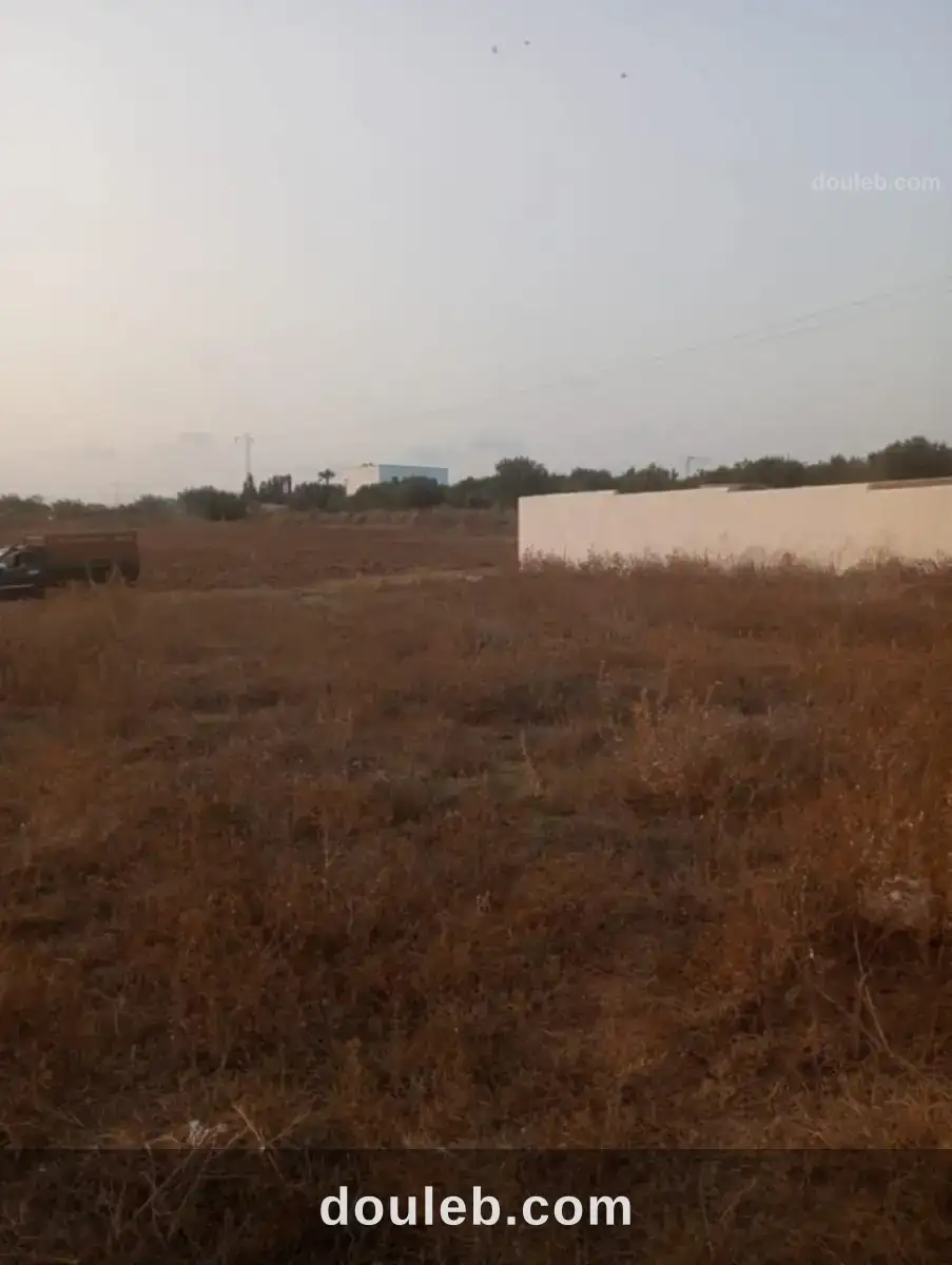 Av terrain 1000m à hammamet sud à Tunis