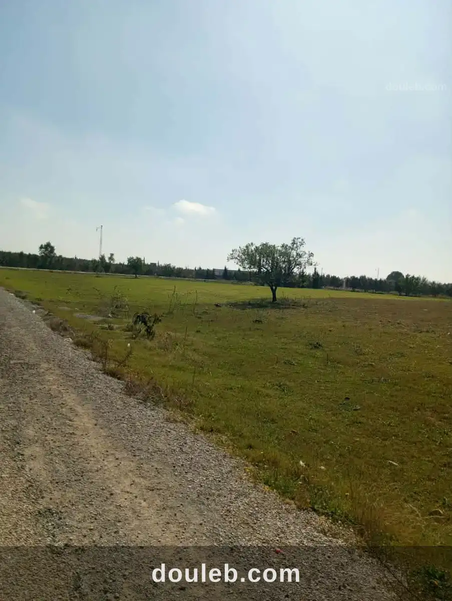 Av 1000m à sidi said proche hammamet à Tunis