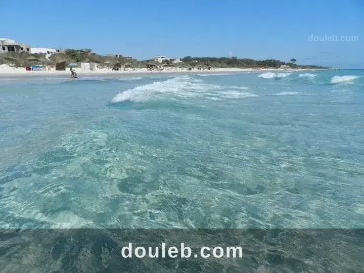 Un terrain pour investissement à Tunis