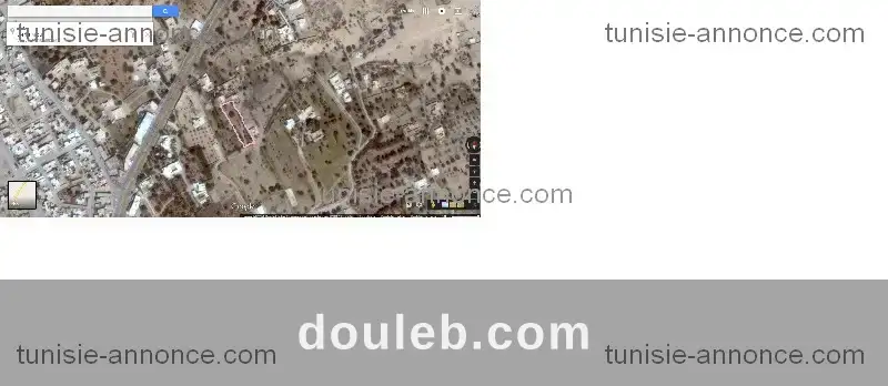 Joli lot a trifa à Tunis