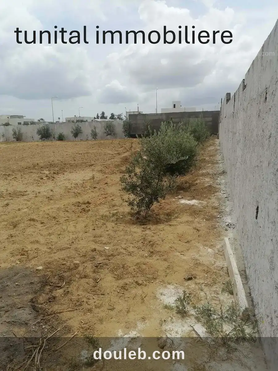 Lots de terrain dans un lotissement à ménagé à Tunis