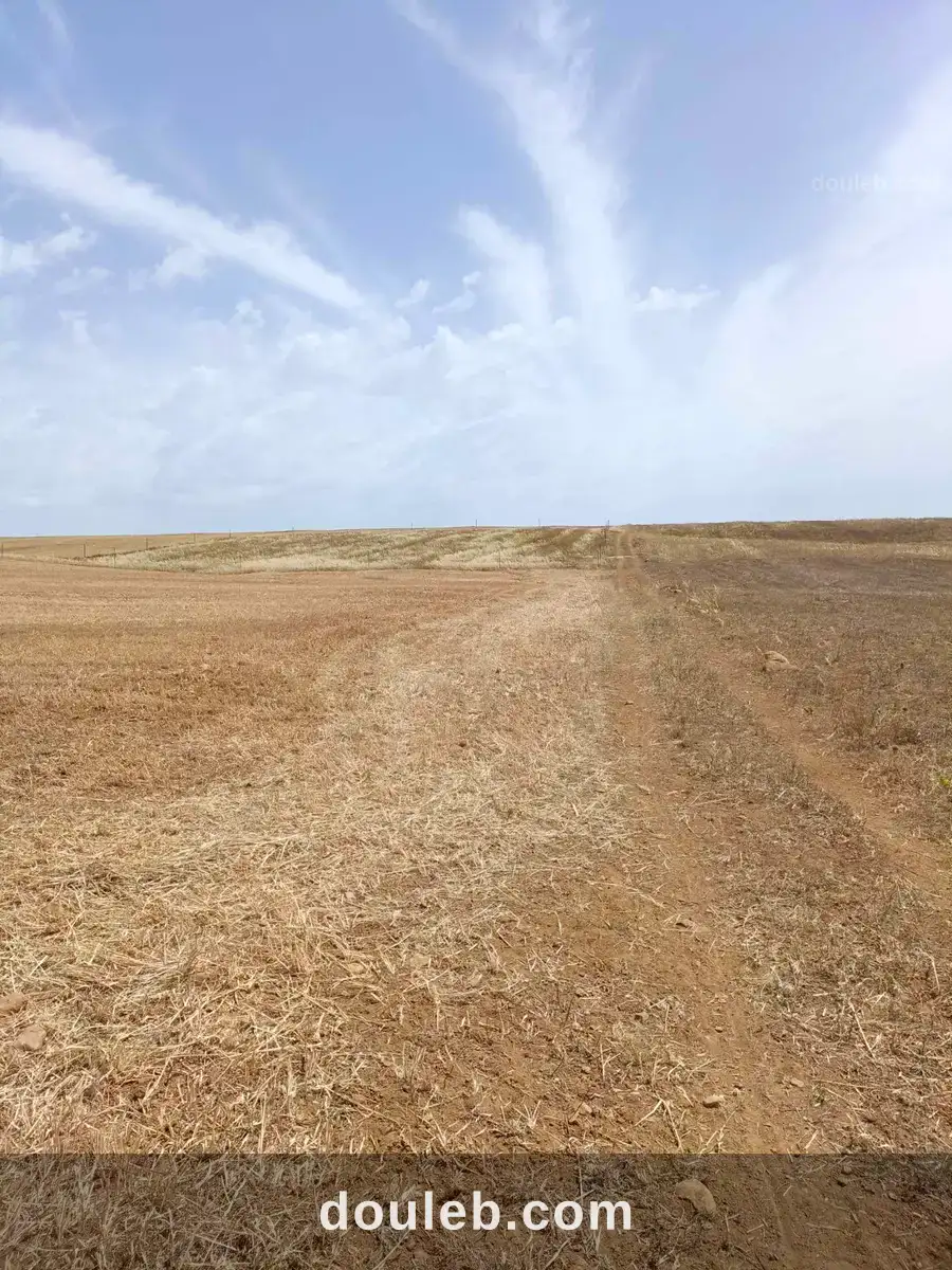 Av terrain de 4900m à hammamet sud à Tunis