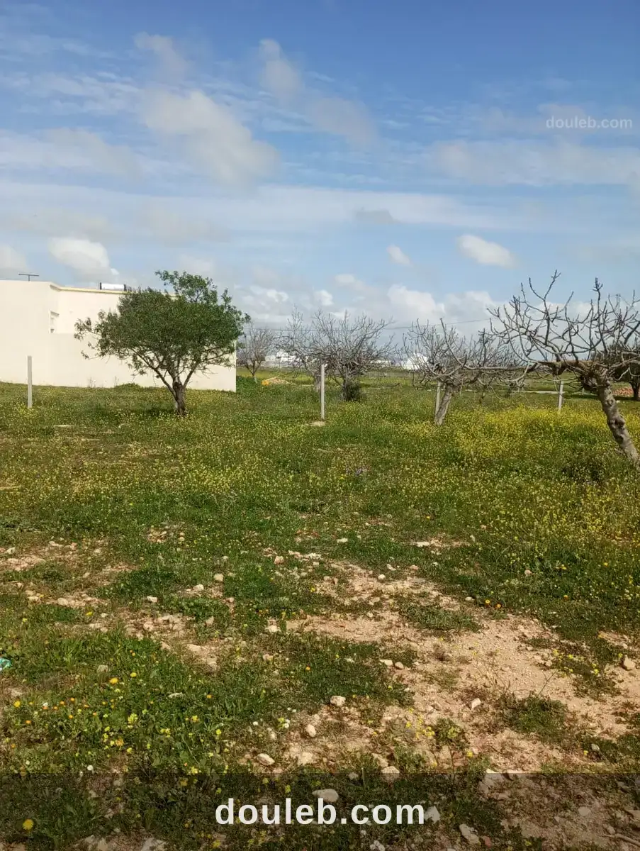 Av terrain 250m proche de la mer à hamammet à Tunis