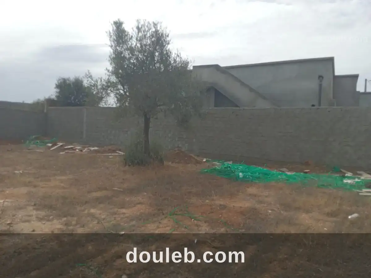 Borj touil vnt terr 738m2 à Tunis