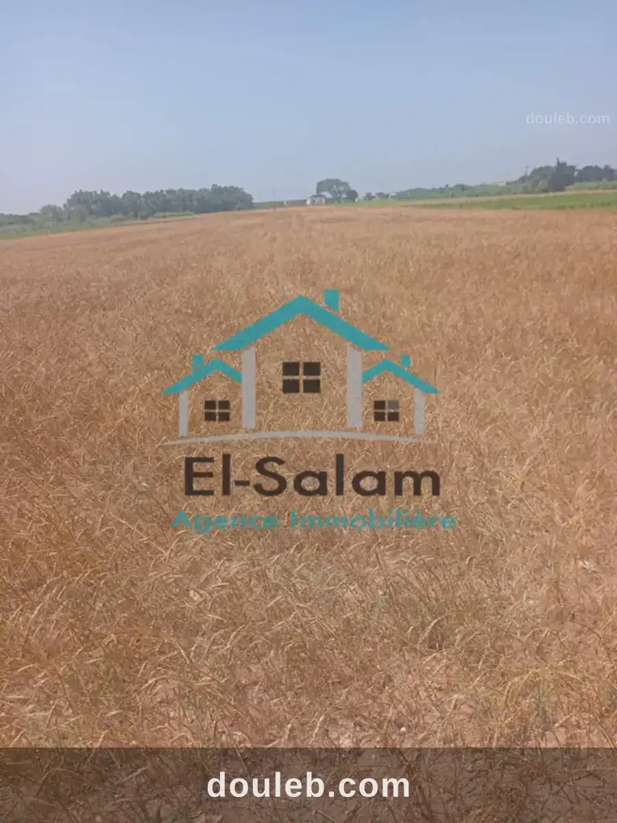 Lotissement a kelibia seulement a 26000 dt à Tunis