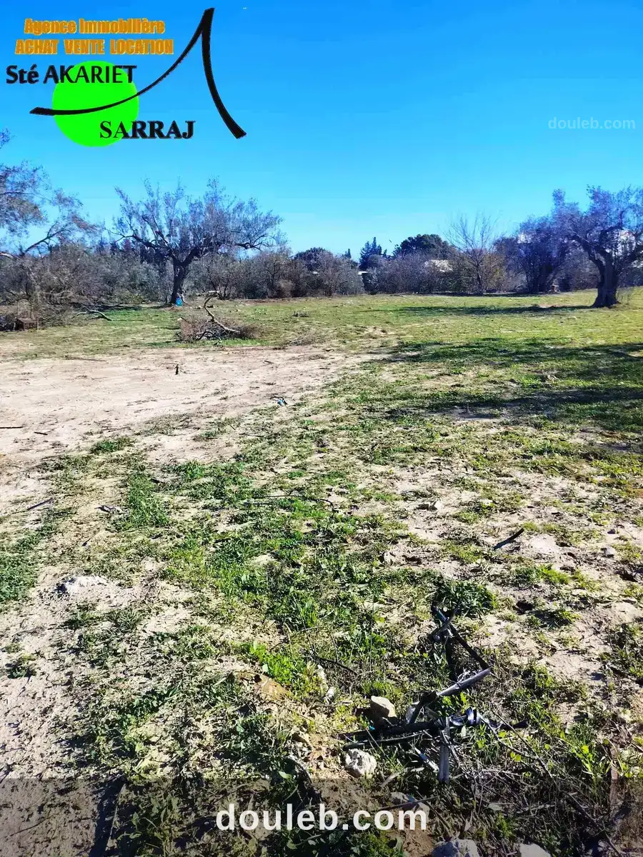 Terrain titré 1094m vue de mer à tantana à Tunis