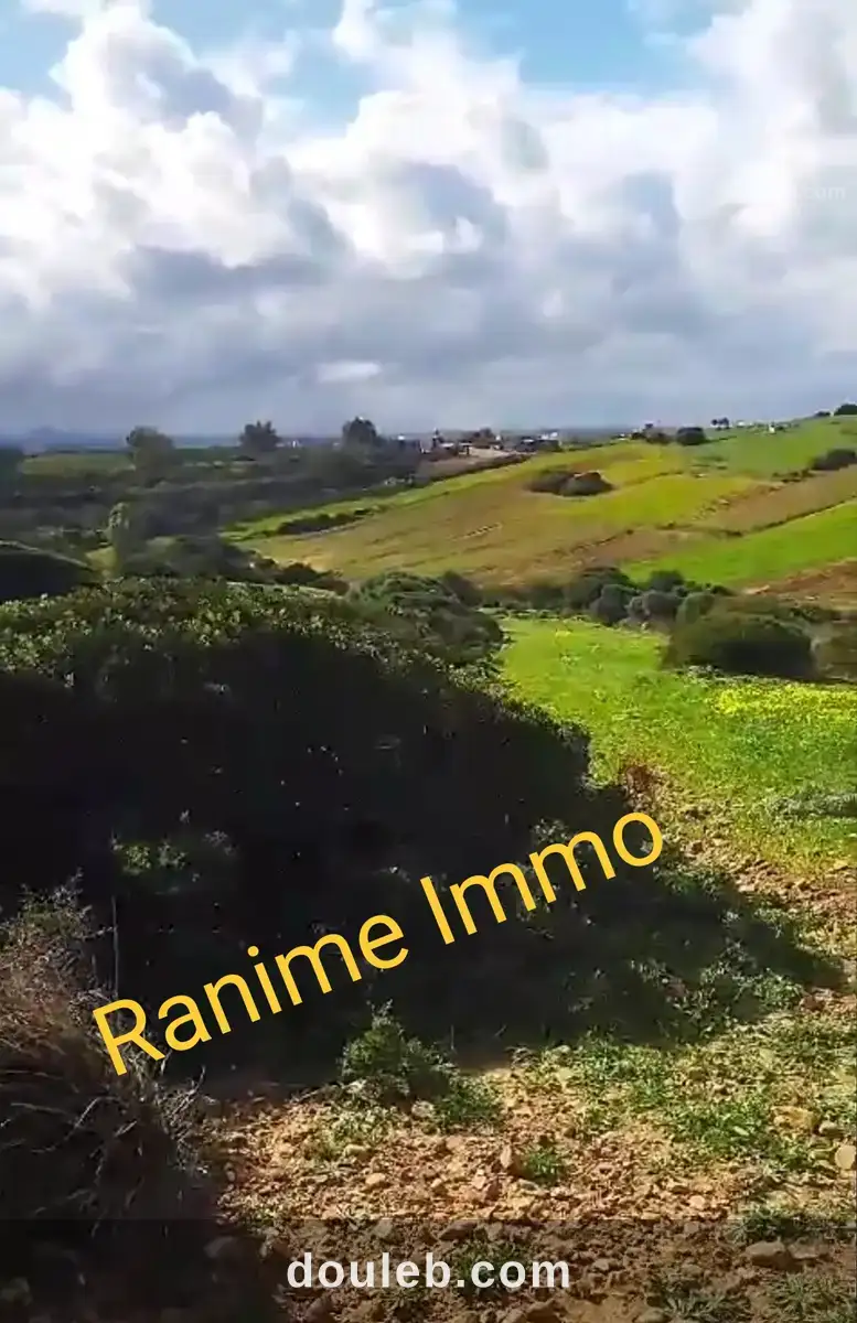Terrain de 3740m2 a la plage el haouaria à Tunis