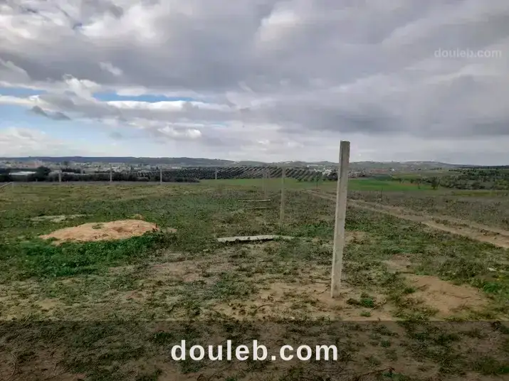 Terrain magnifique à Tunis