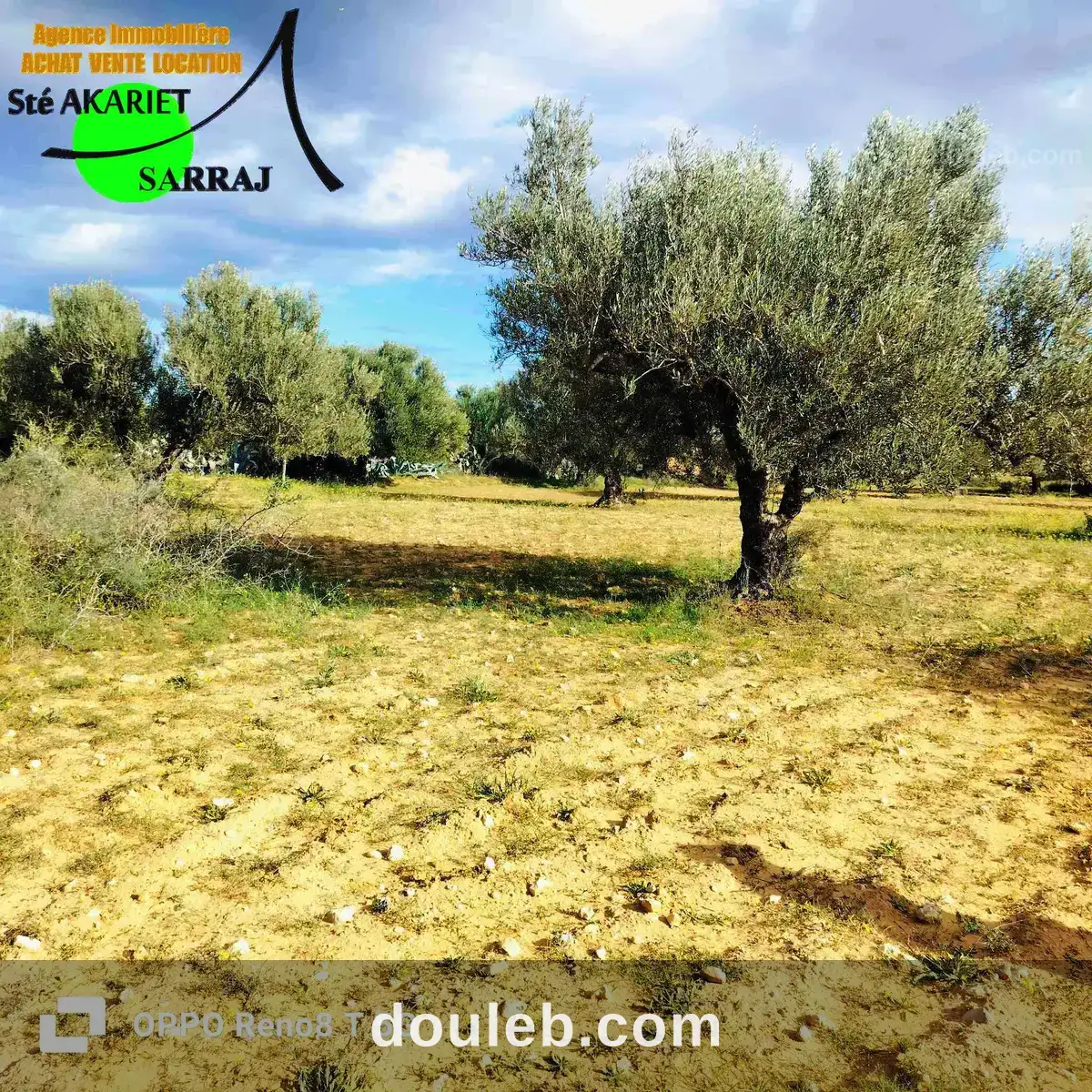 Terrain agricole 1hectare et 8000m à sidi bouali à Tunis