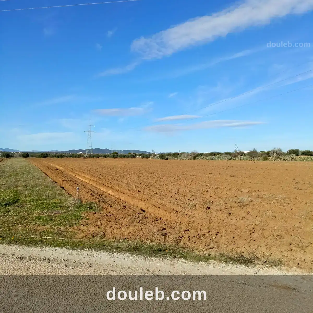 Av terrain 10500m sur la route à bouficha à Tunis