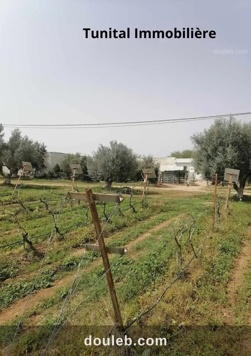 Ferme à manouba à Tunis