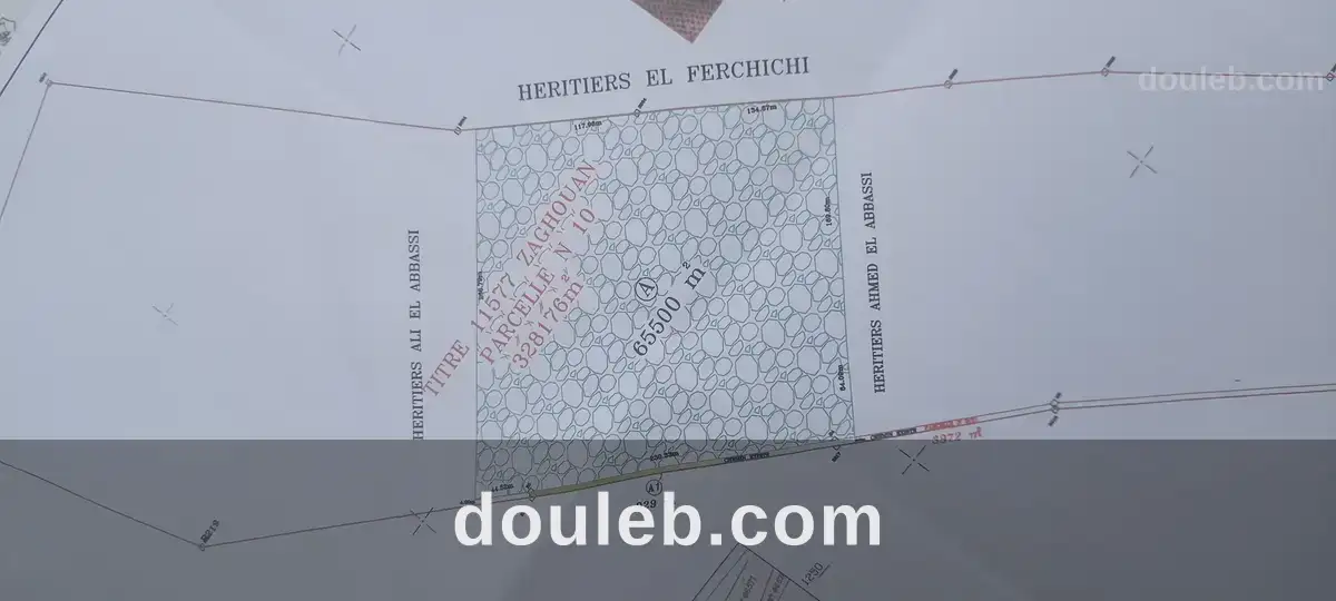 Ferme de 6h5 1 400 oliviers chemlali de trois ans à Tunis