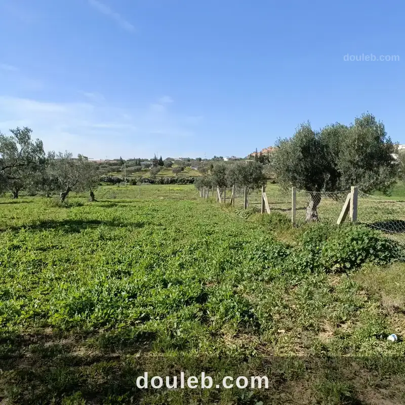 Bonne occasion 1680m à hammamet sud à Tunis