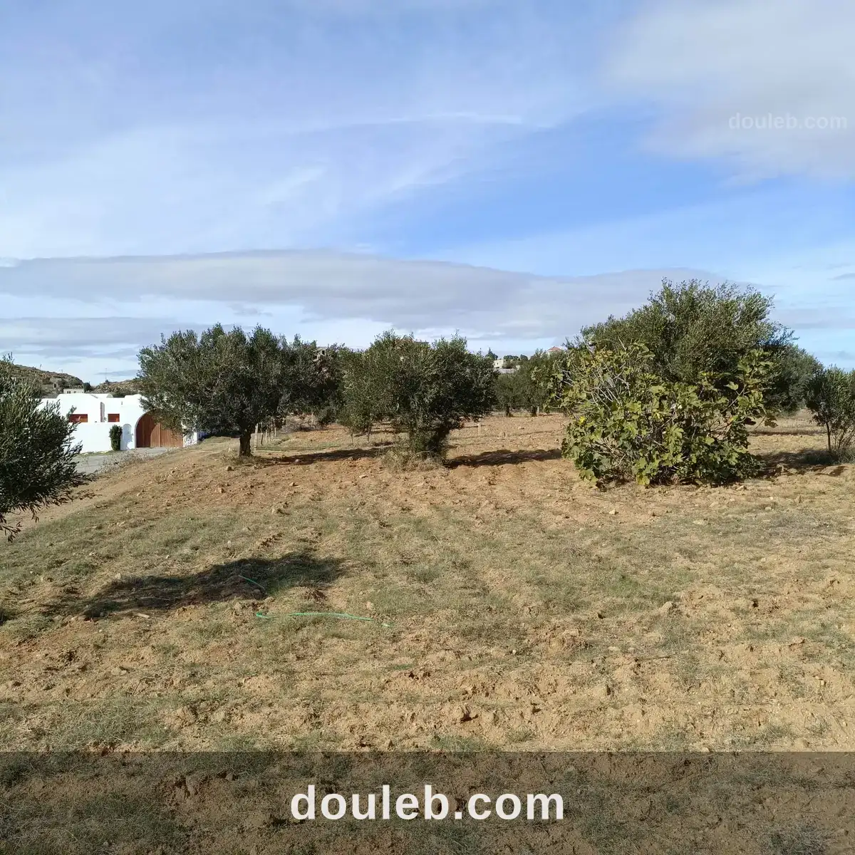 Av beau terrain 1000m à monchar hammamet sud à Tunis