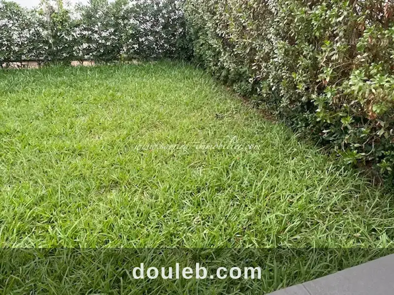 Appartement myriem à Tunis