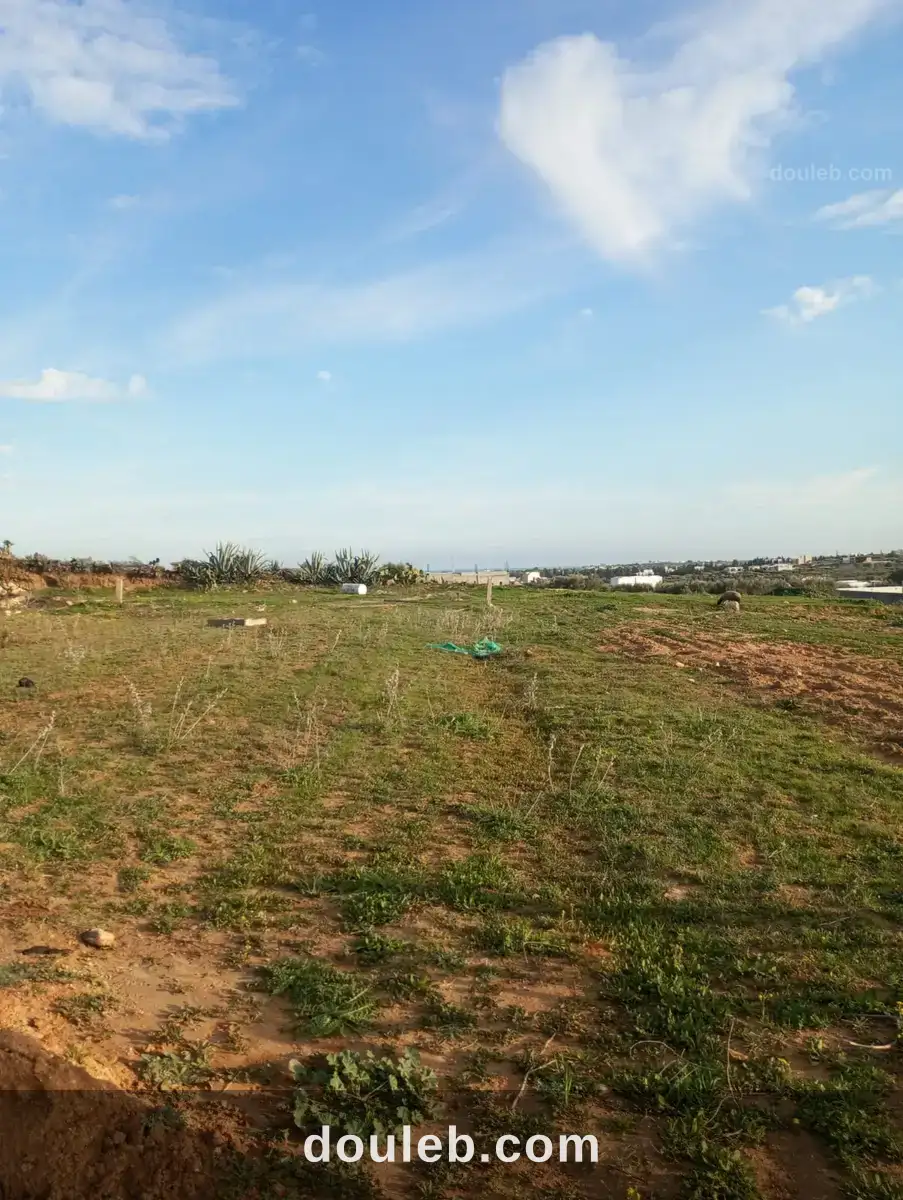 Av terrain 1000m à monchar hammamet sud à Tunis