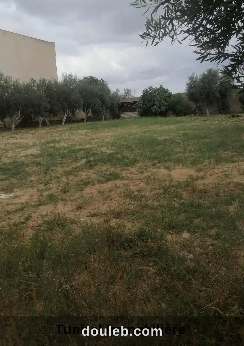 Terrain colturé r plus deux à Tunis