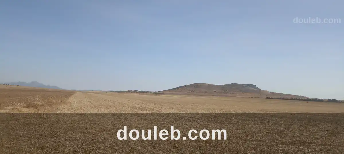 8 hectares nu excellente nappe phréatique à Tunis