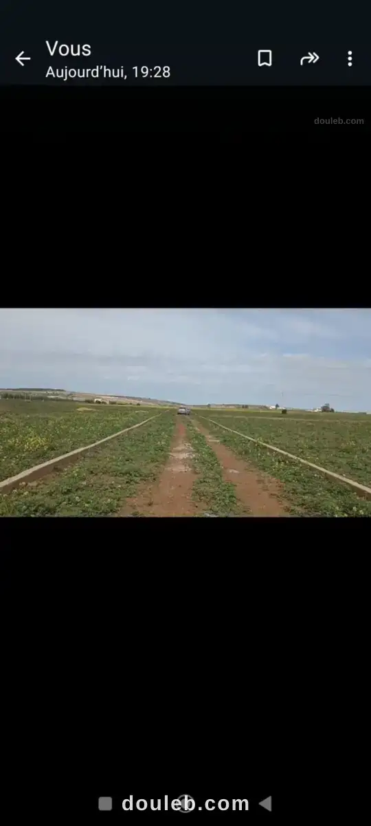 Des parcelles agricoles a usage résidentiel à Tunis