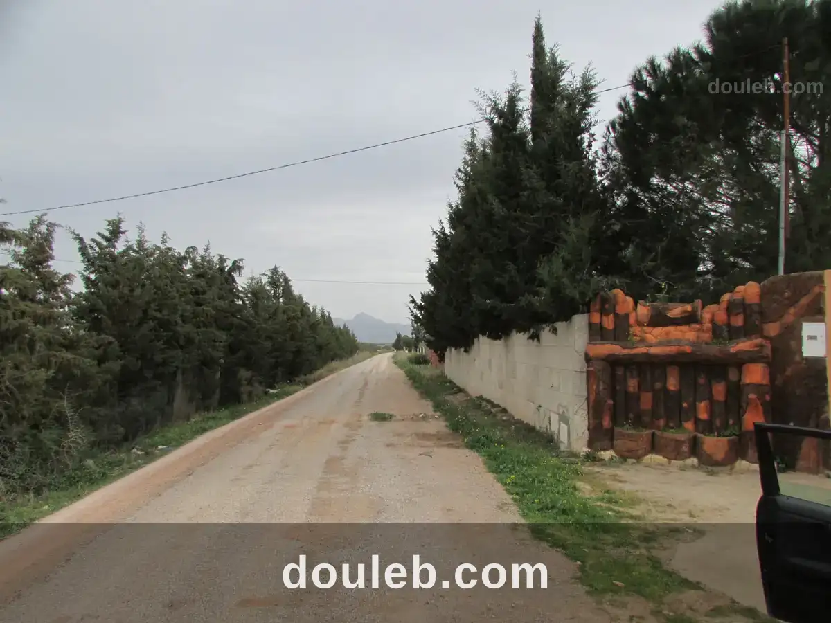 Belle ferme 7 hectares productive à Tunis