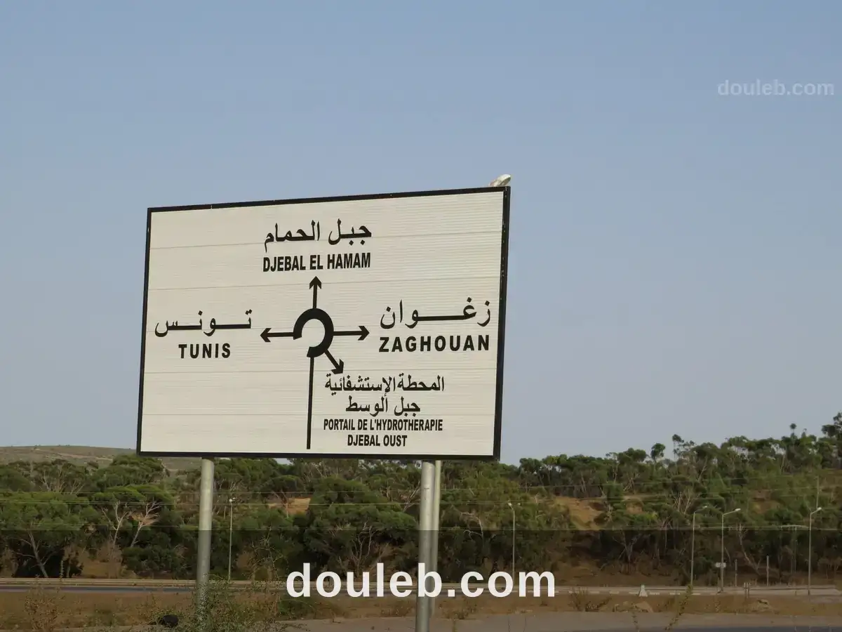 Des terrain résidentiels non préparés à Tunis