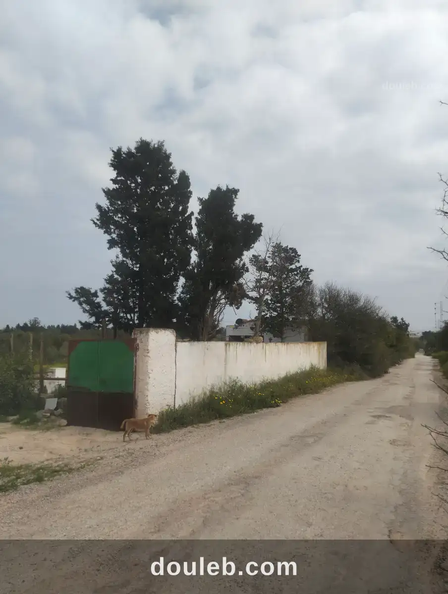 Terrain agricole à Tunis