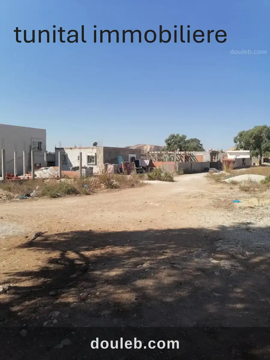 Ariana raoud jafar à Tunis