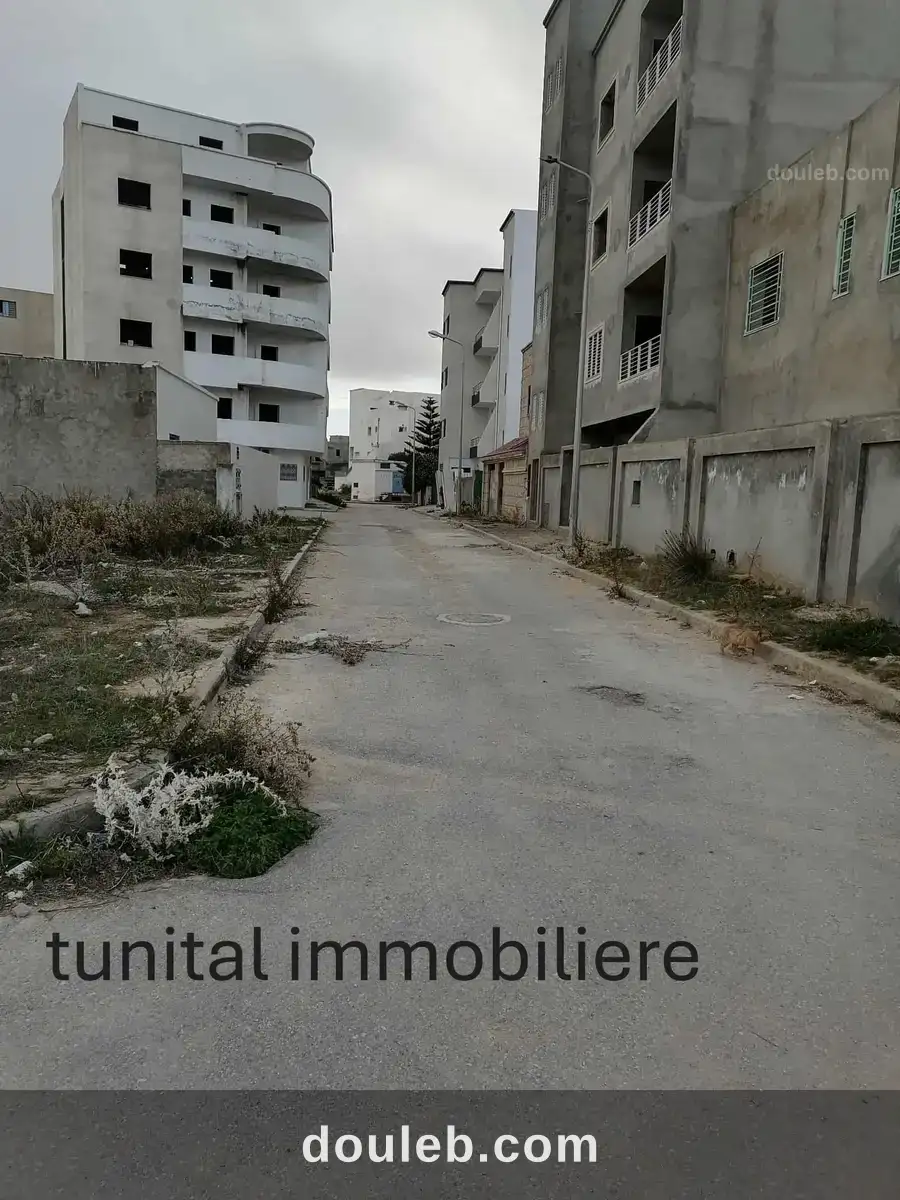 Raoued vers ariana lotissement tahmer à Tunis