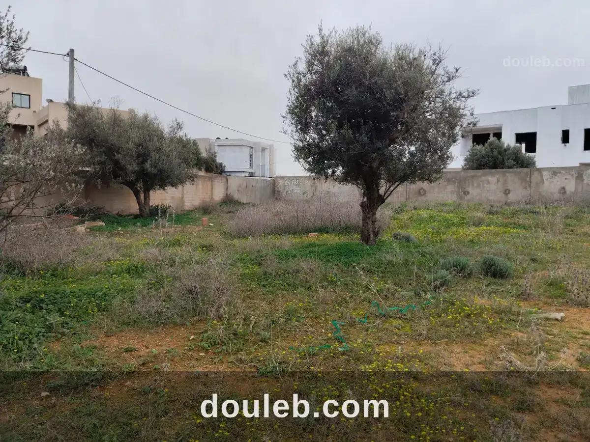 Borj youssef vnt ter 2000m2 à Tunis