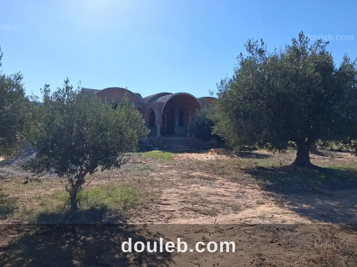 Terrain constructible à Tunis