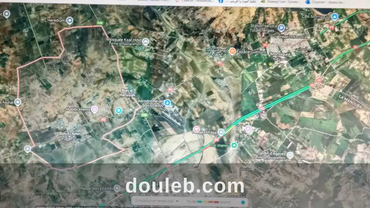 Terrain viabilisé à Tunis