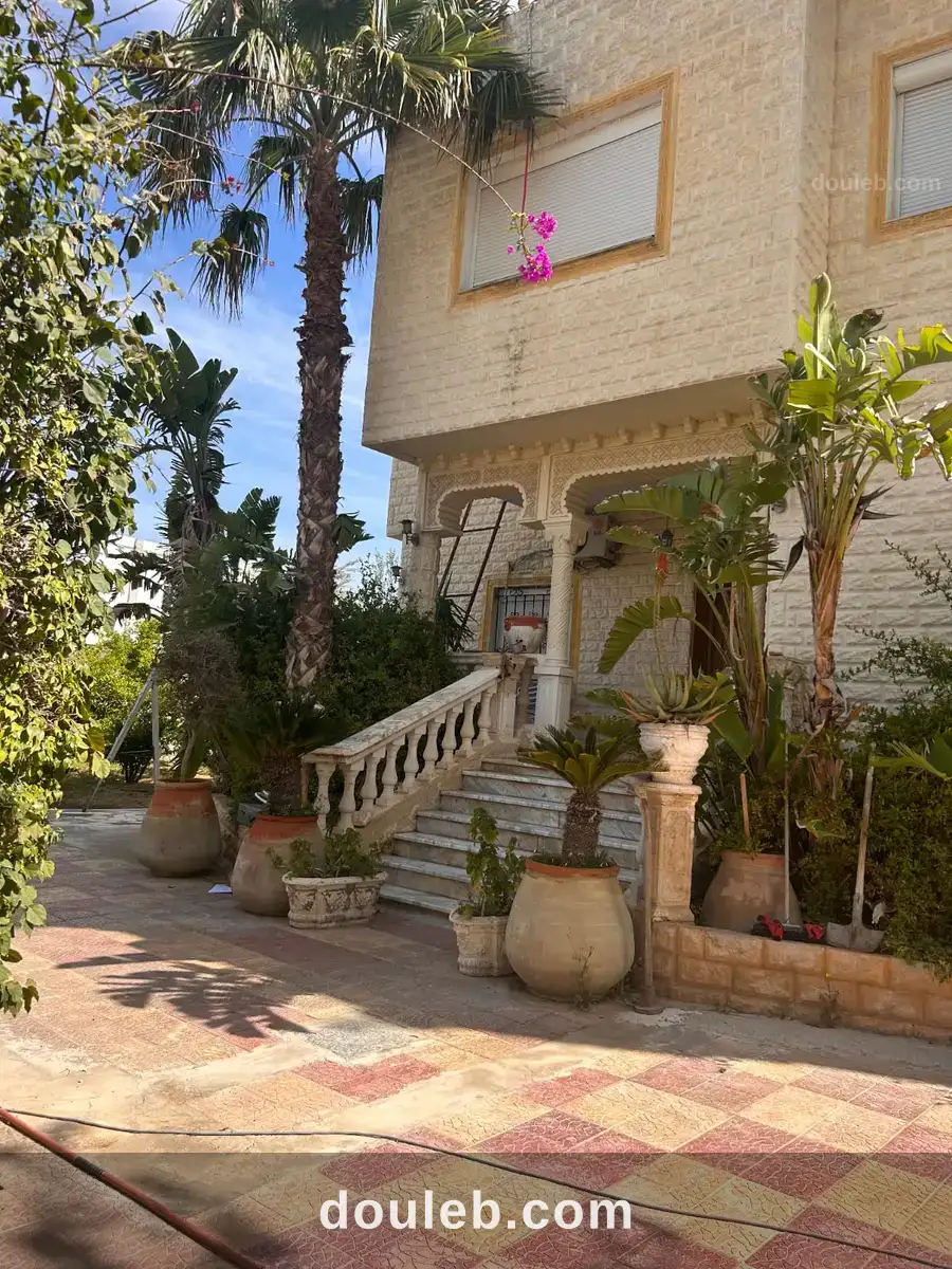 Occasion à ne pas rater à Tunis