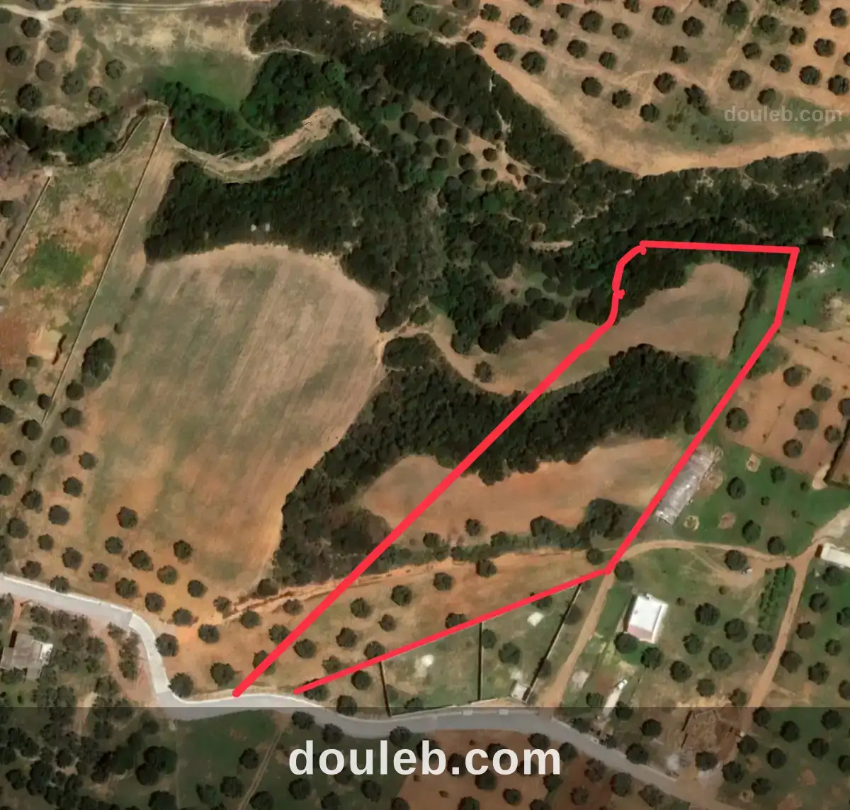 Terrain agricole pour investissement maison d hote à Tunis