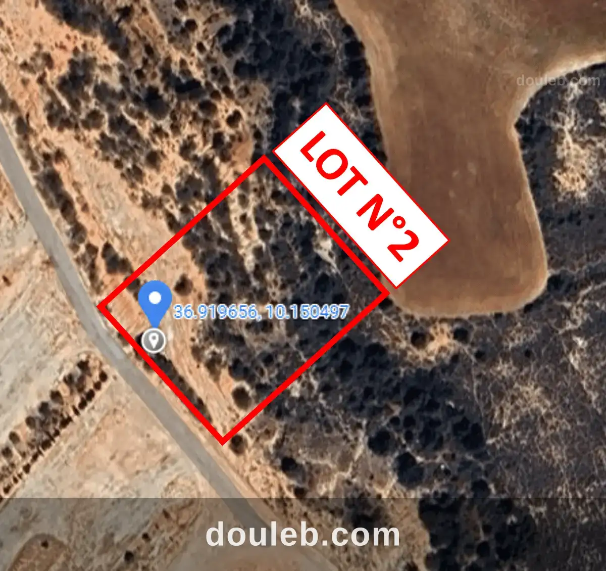 Opportunité d'investissement exceptionnelle à Tunis