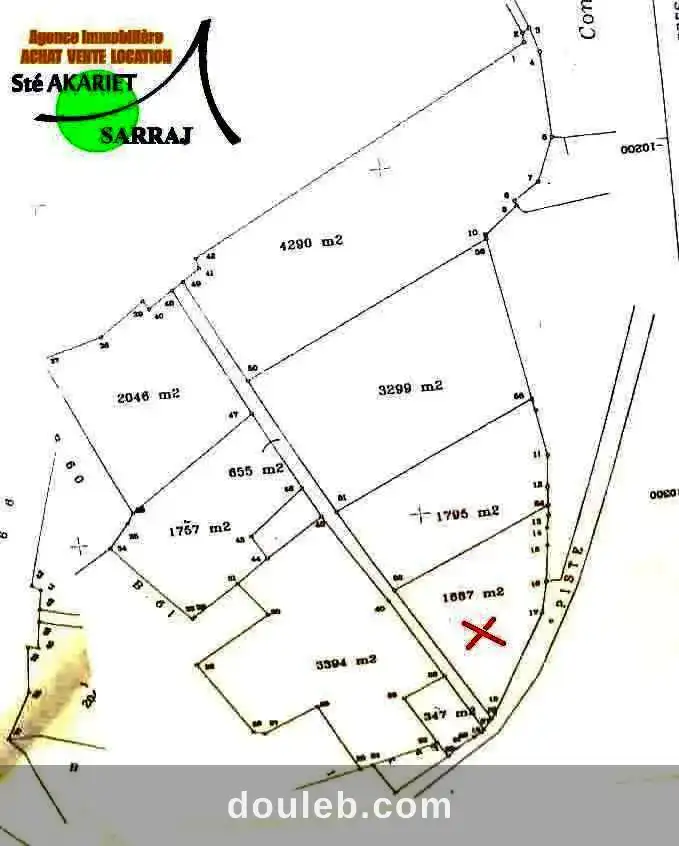 Lot vue de mer 1650m derrière koussour gharnata à Tunis