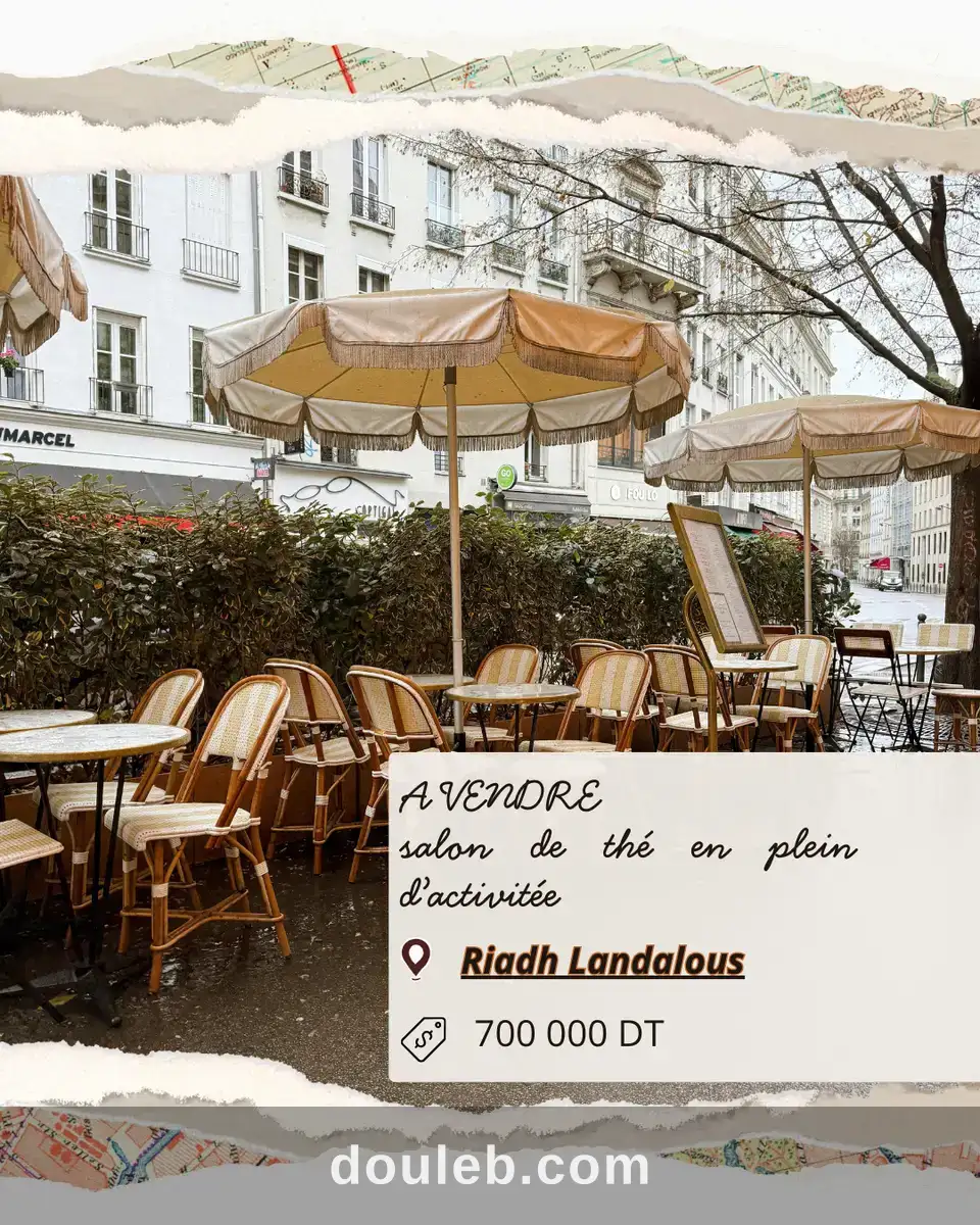 Salon de thé fond et mur à Tunis