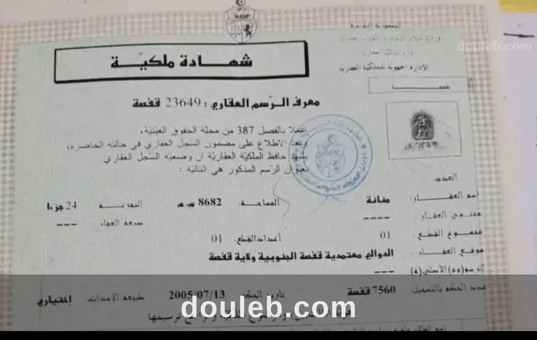 Terrain gafsa sud doualy à Tunis