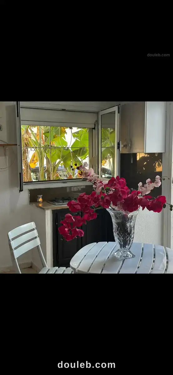 Menzeh 5 pour des etudiantes à Tunis