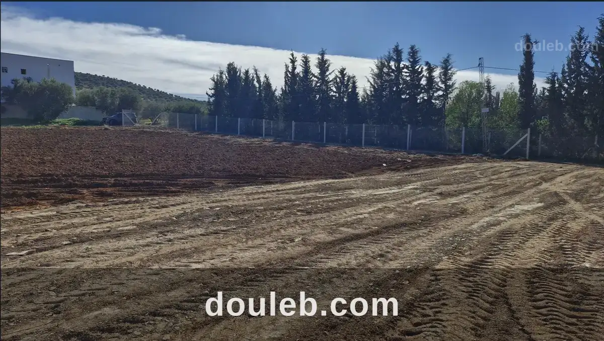 Lots de terrain de 1000 m situés à sidi thabet à Tunis