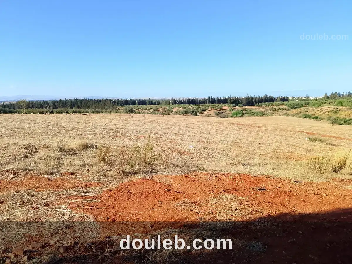 Terrain de 1 hectare à sidi thabet jabbes à Tunis