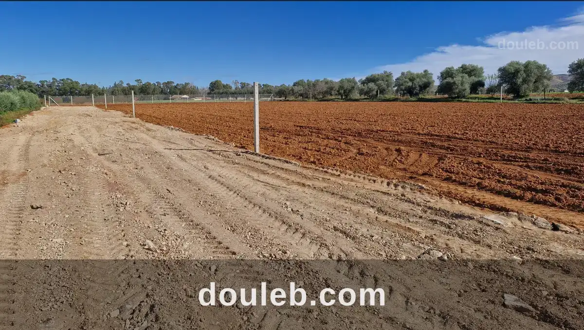 Lots de terrain de 1000 m situés à sidi thabet - Miniature 2