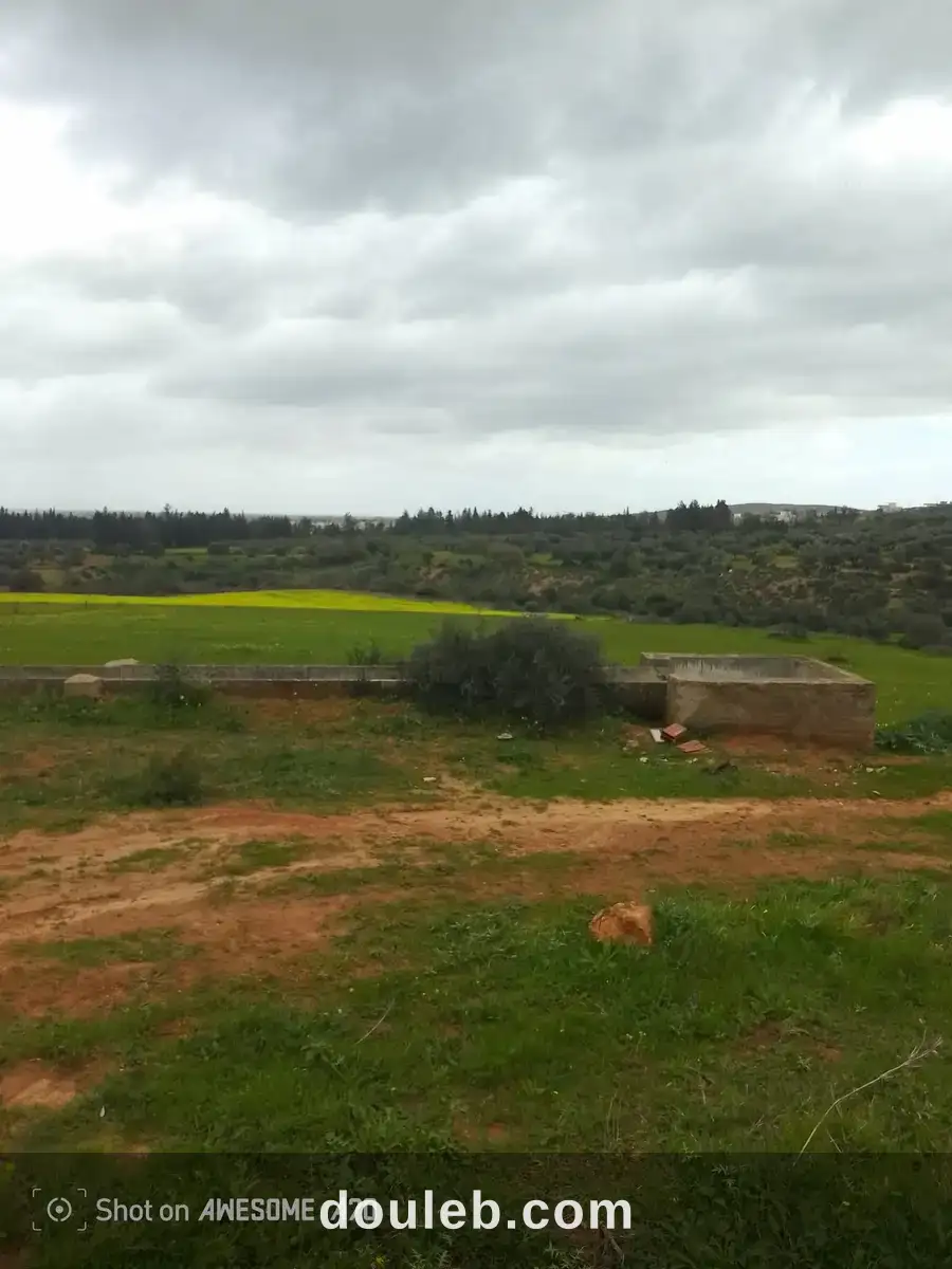 Terrain de 1 hectare à sidi thabet jabbes - Miniature 2