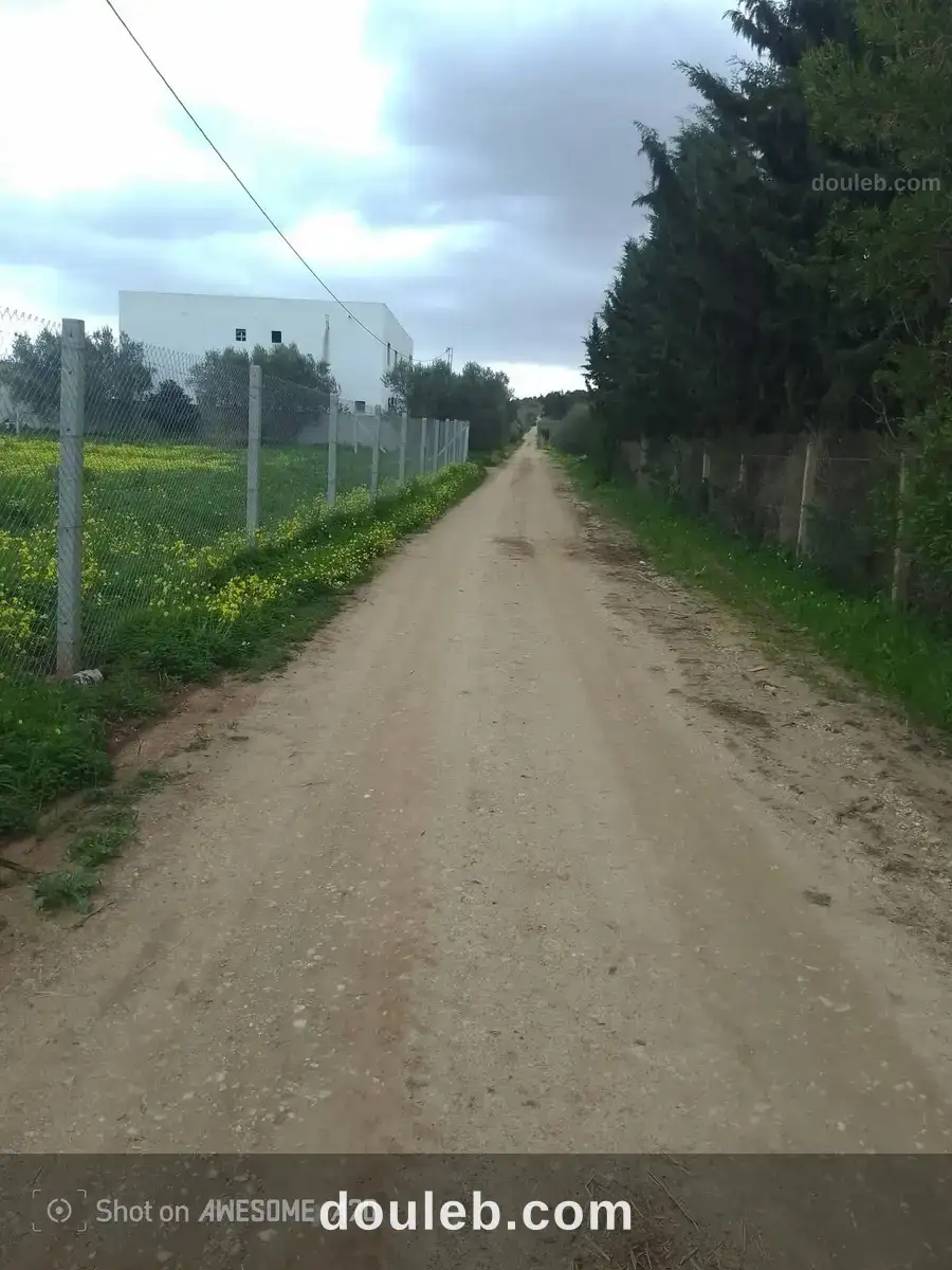 Lots de terrain de 1000 m situés à sidi thabet - Miniature 4